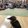 Edukacja przyrodnicza - Lipnica Poznańska